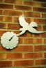 Sparrowhawk