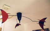 Swarm